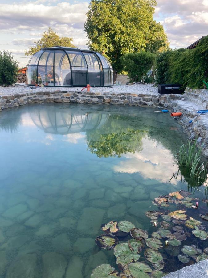 chalupa na Samotě s vířivkou Tábor Exteriér fotografie